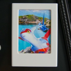 Cadres polaroïd pokémons vacanciers