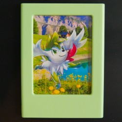 Cadres polaroïd pokémons vacanciers