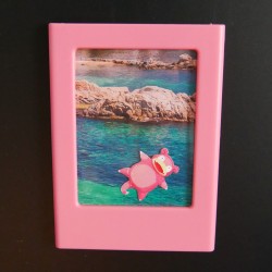 Cadres polaroïd pokémons vacanciers