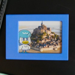 Cadres polaroïd pokémons vacanciers