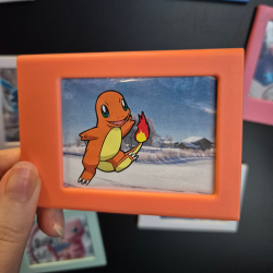 Cadres polaroïd pokémons d'hiver