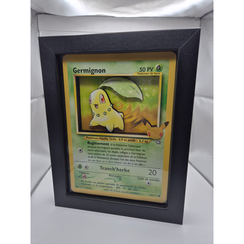 Cadre Germignon Jumbo 3D