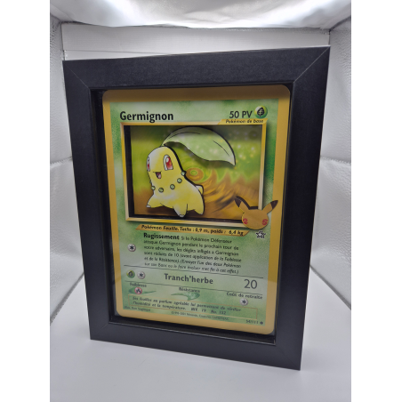 Cadre Germignon Jumbo 3D