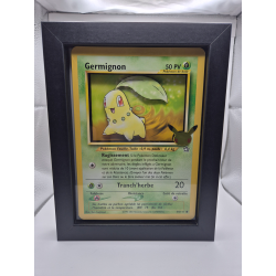 Cadre Germignon Jumbo 3D