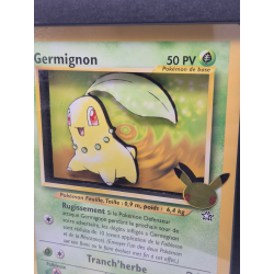 Cadre Germignon Jumbo 3D