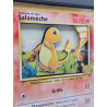 Cadre Salamèche Jumbo 3D