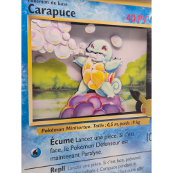 Cadre Carapuce Jumbo 3D