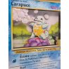 Cadre Carapuce Jumbo 3D