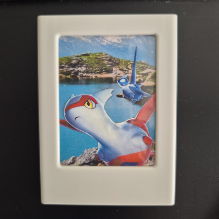 Polaroïdes Pokémon cadres magnétiques édition 1