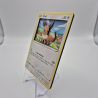 Carte 3D Evoli Evolution Céleste
