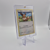 Carte 3D Evoli Evolution Céleste