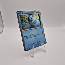 Carte 3D Carapuce promo boîtier