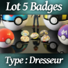 Lot de 5 badges Dresseurs